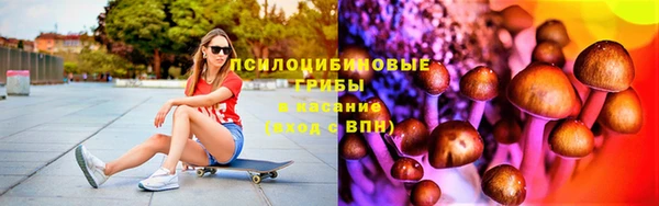 винт Абаза