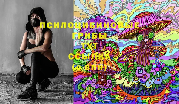 эйфоретик Абинск