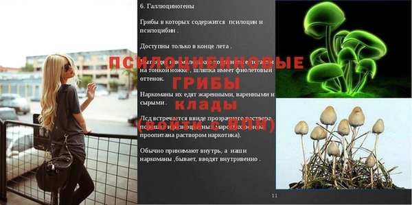 винт Абаза